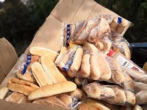 鱼蛋后厨爆料视频在线观看,独家爆料视频带你直击美食制作全过程  第2张