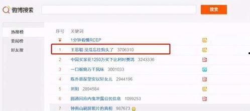 吃网红瓜网址,探寻网络热点背后的真相与秘密  第2张