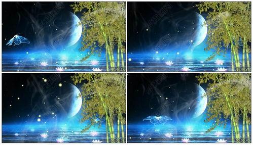 月光爆料最新视频下载安装,揭秘下载安装全攻略