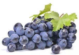 沙溪最新的瓜爆料,揭秘最新瓜爆料背后的故事  第3张