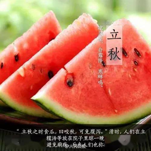 欢迎大家来瓜地免费吃,免费瓜地，等你来尝  第3张