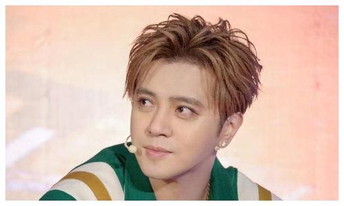 罗志祥和娱乐圈内爆料,揭秘明星背后的真相与争议  第1张